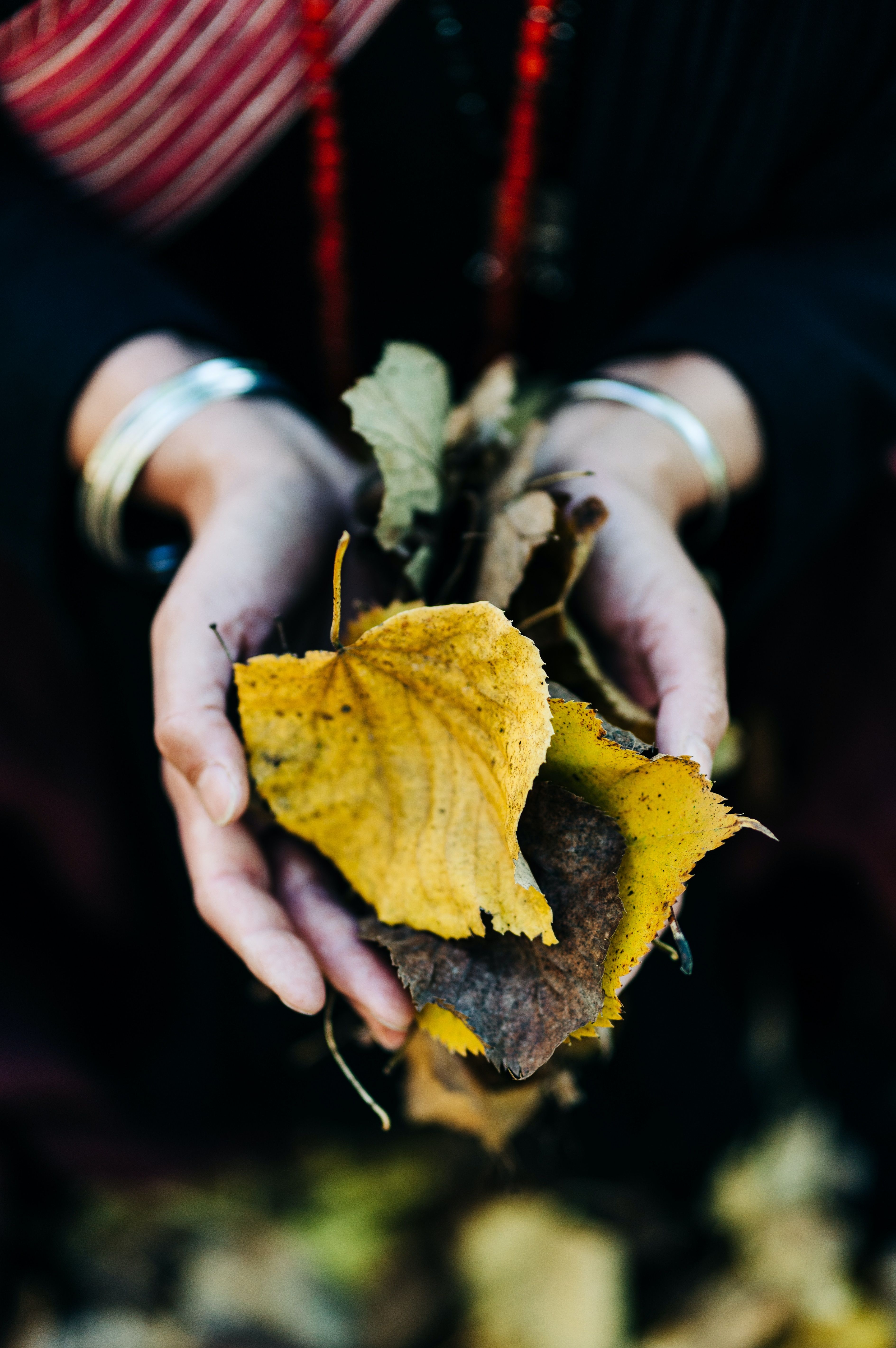 unsplash_aAKgPCCH52w