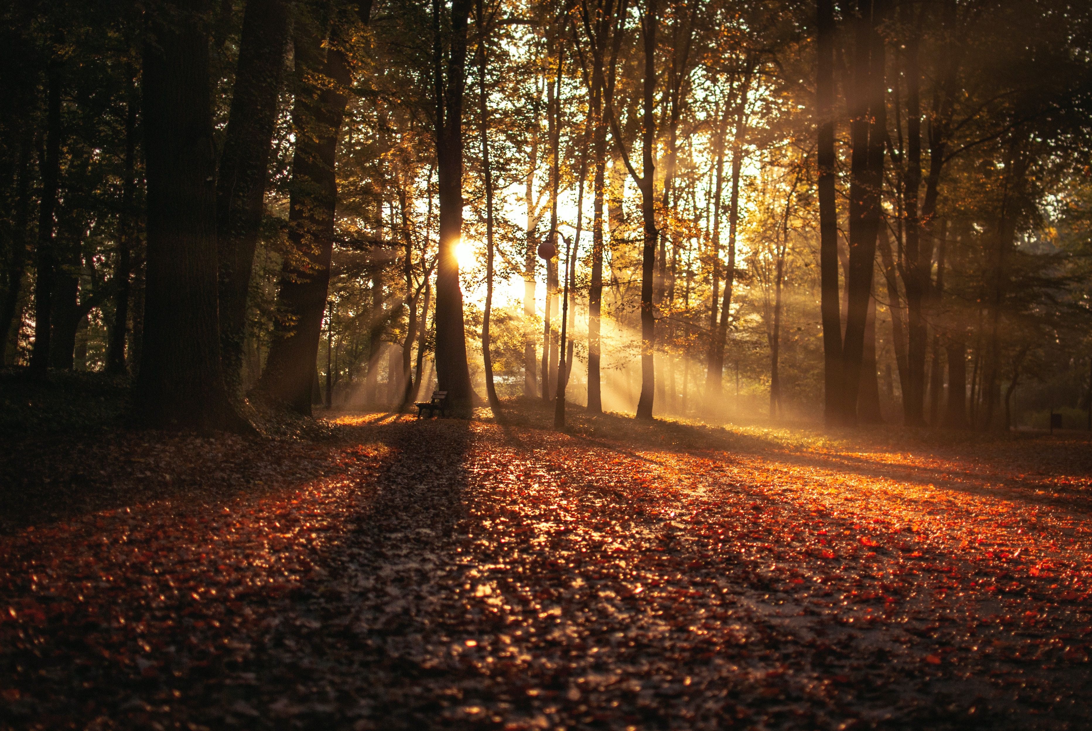unsplash_pvoQJym18Jg