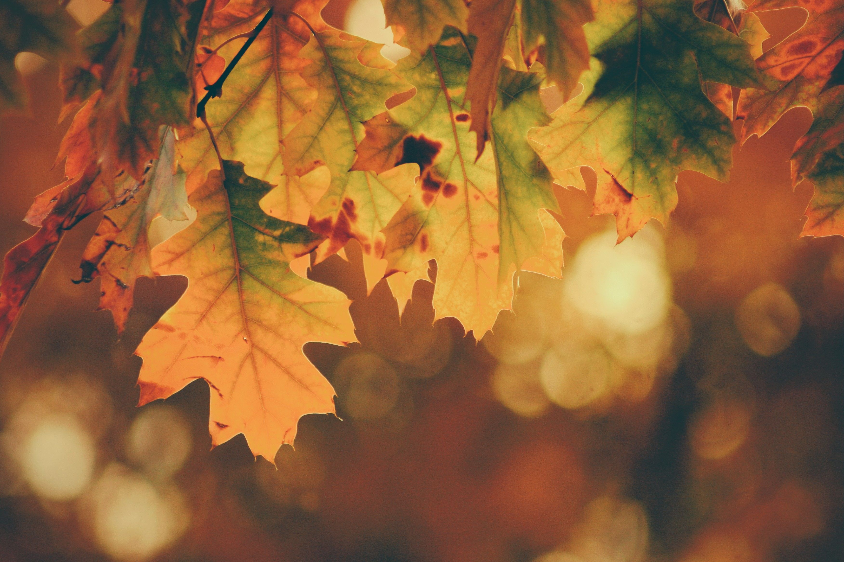 unsplash_yuiJO6bvHi4